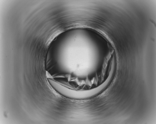 X0000099541289200805301453