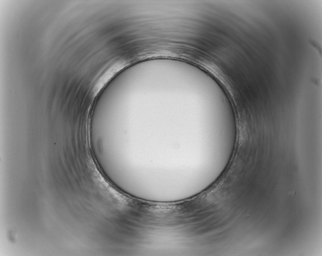 X0000099541290200805301453