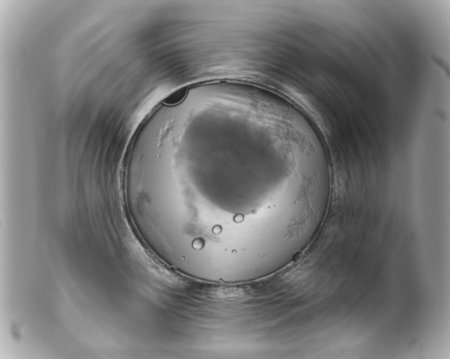 X0000099541291200805301453