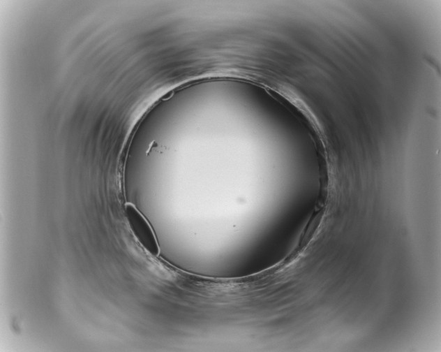 X0000099541292200805301453