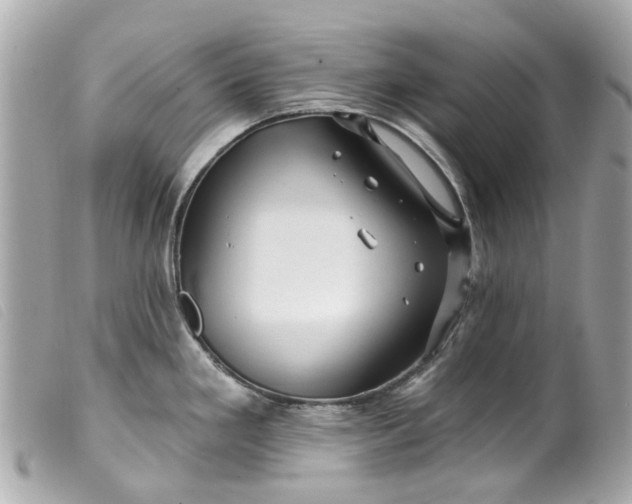 X0000099541293200805301453