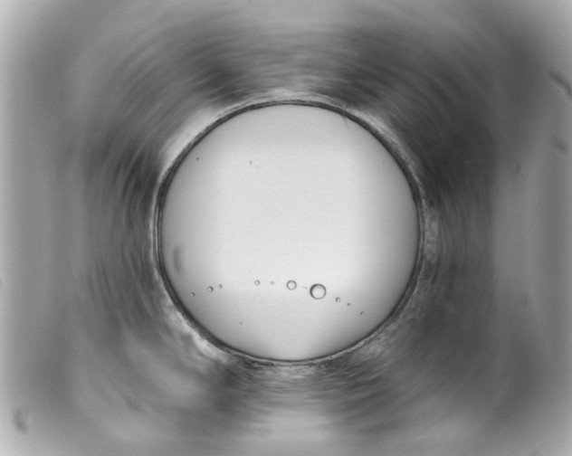 X0000099541294200805301453