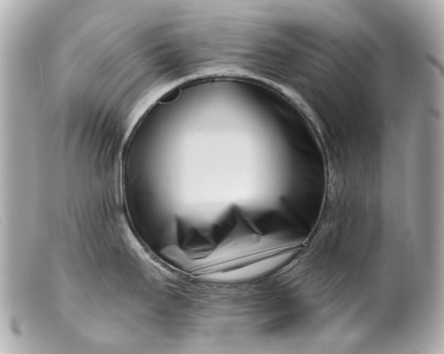 X0000099541295200805301453