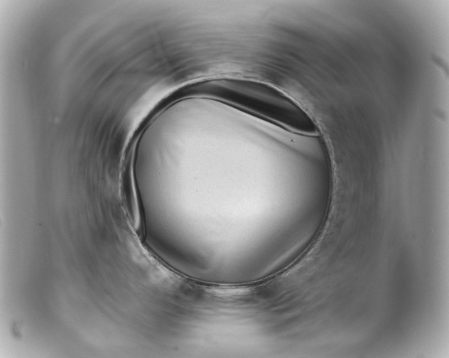 X0000099541296200805301453