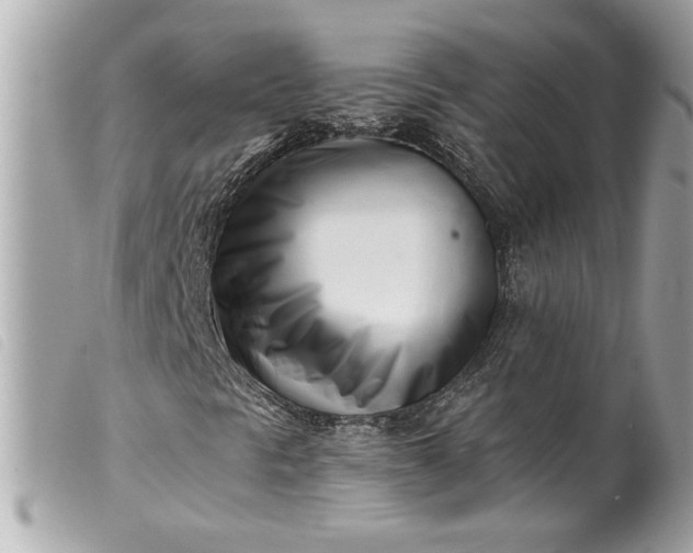 X0000099541297200805301452