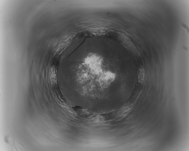 X0000099541298200805301452