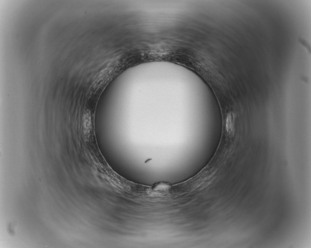 X0000099541299200805301452