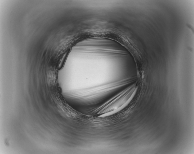 X0000099541300200805301452