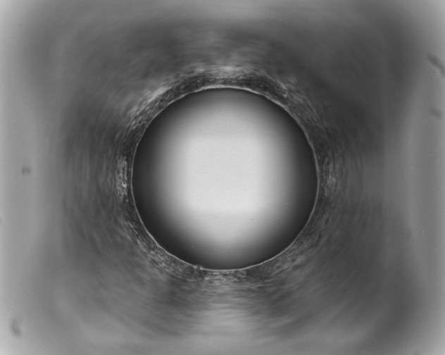 X0000099541301200805301452