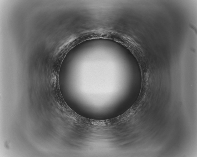 X0000099541302200805301452