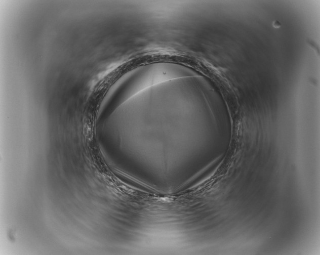 X0000099541303200805301452