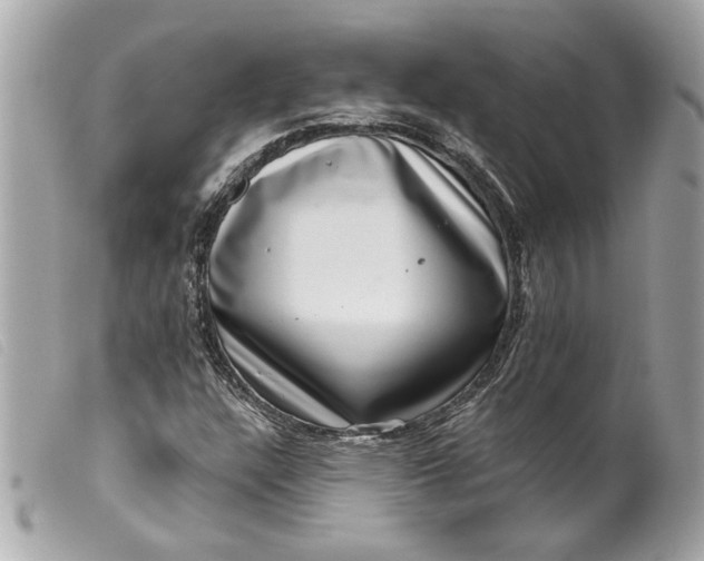 X0000099541304200805301452