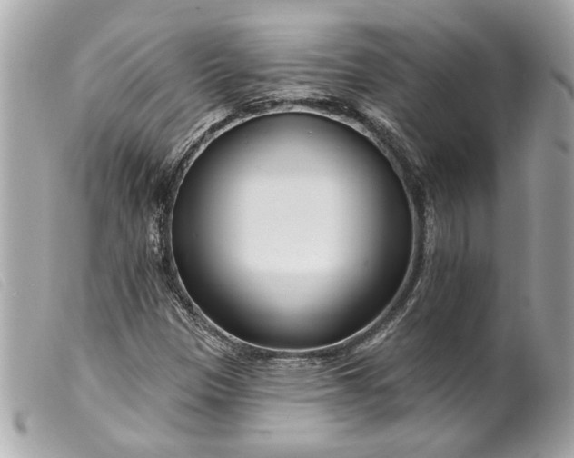 X0000099541305200805301452