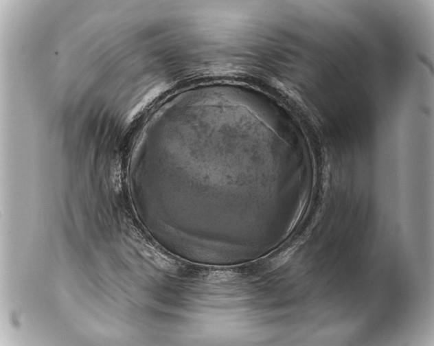 X0000099541306200805301452