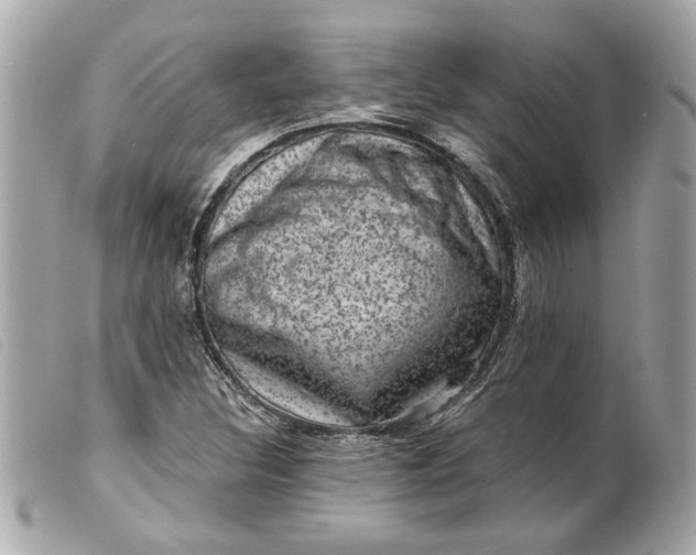 X0000099541308200805301452