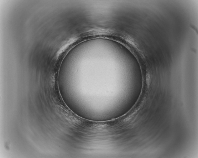 X0000099541309200805301452