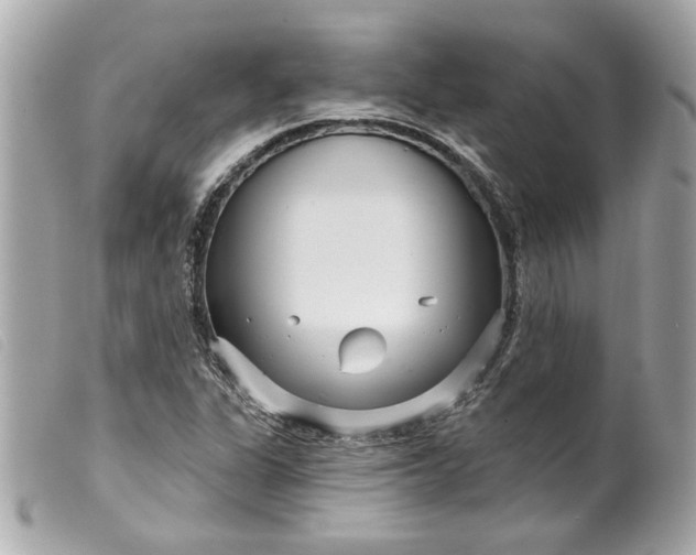 X0000099541311200805301452