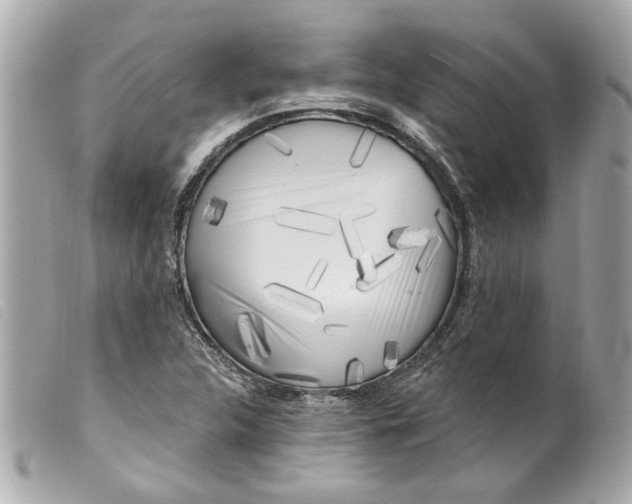 X0000099541312200805301452