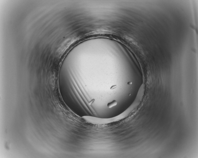 X0000099541313200805301452