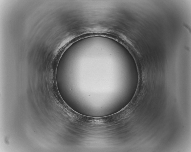 X0000099541315200805301452