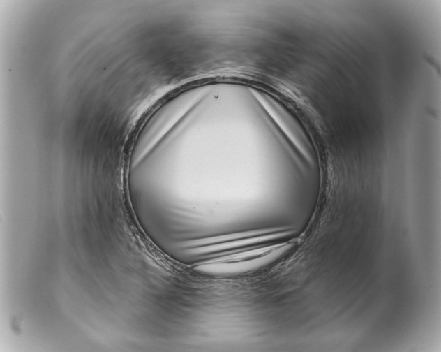 X0000099541316200805301452