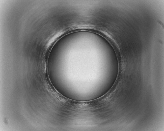 X0000099541317200805301452