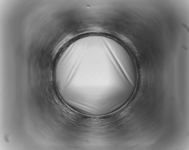 X0000099541318200805301452