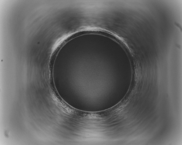 X0000099541319200805301452