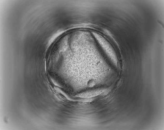 X0000099541320200805301452