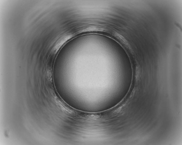 X0000099541321200805301452