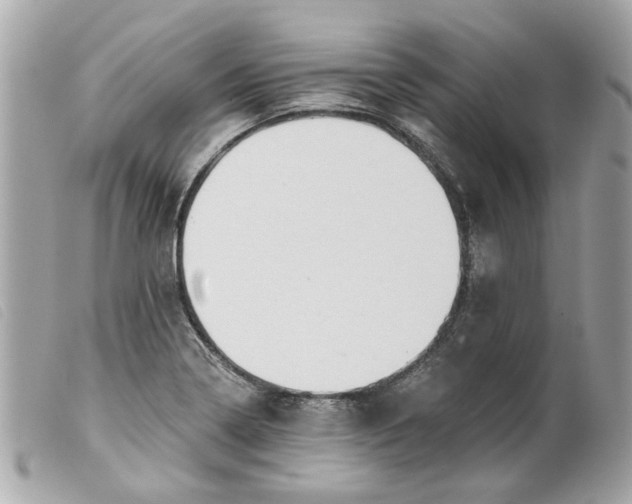 X0000099541322200805301452