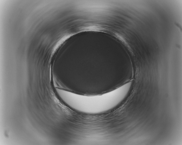 X0000099541323200805301452