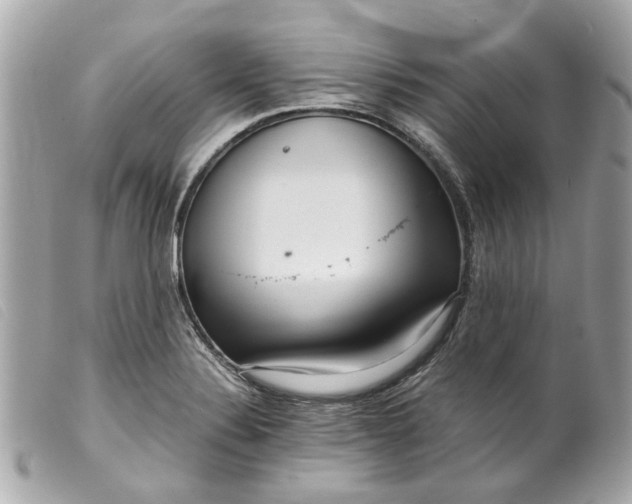 X0000099541324200805301452