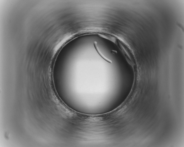 X0000099541325200805301452