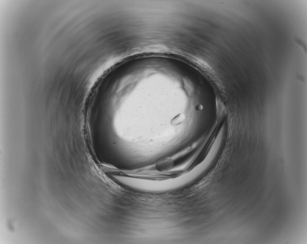 X0000099541326200805301452