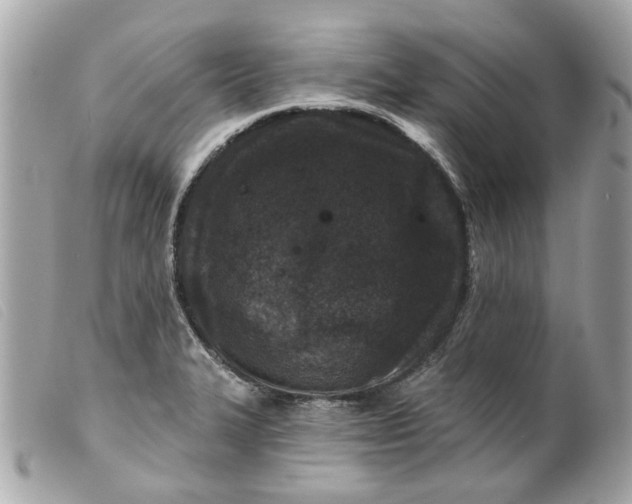 X0000099541327200805301452