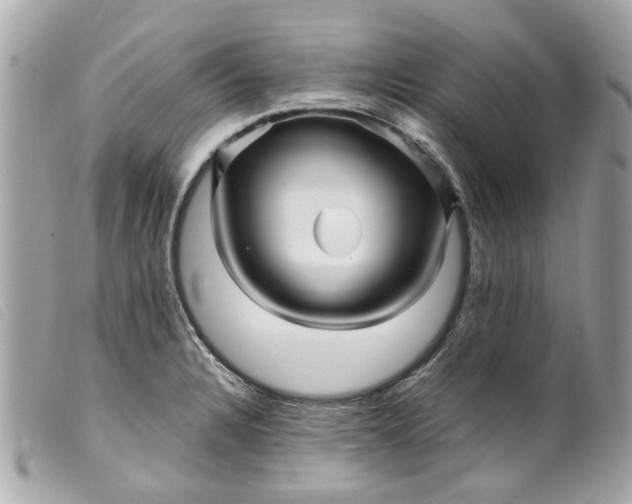 X0000099541328200805301452