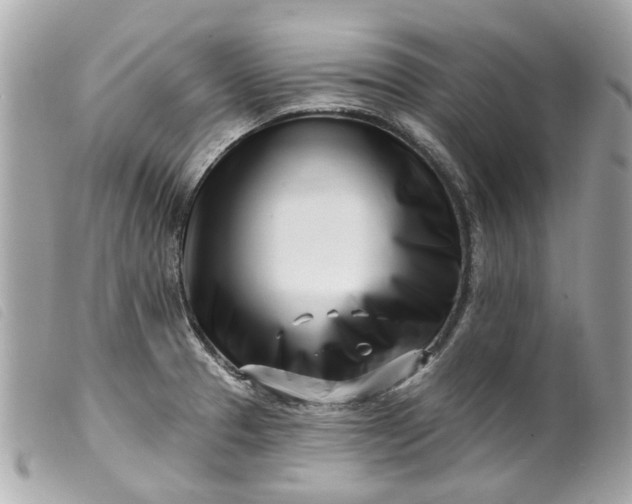 X0000099541329200805301452