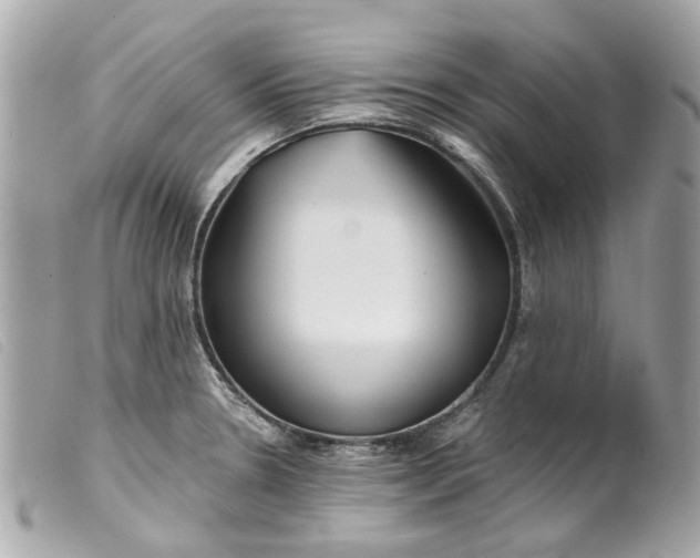 X0000099541330200805301452