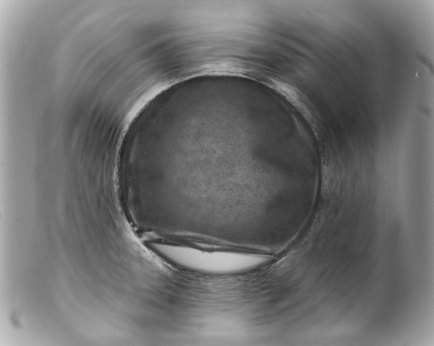 X0000099541331200805301452