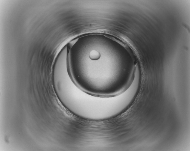 X0000099541332200805301452