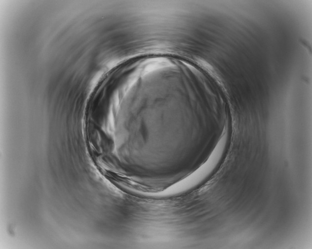 X0000099541334200805301452