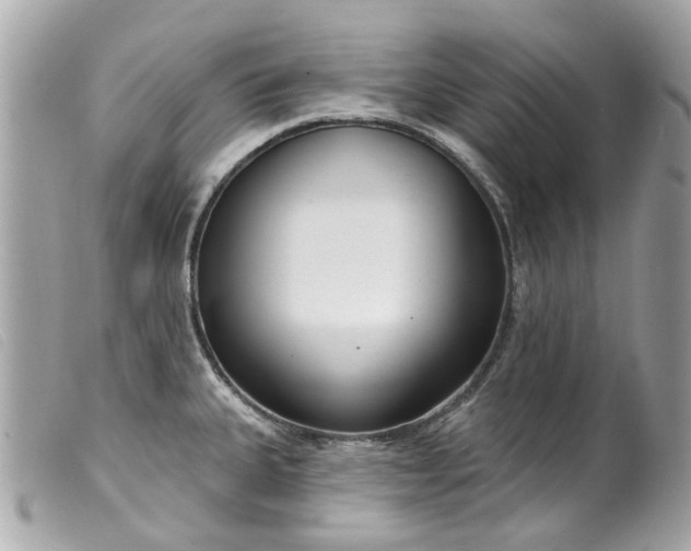 X0000099541335200805301453