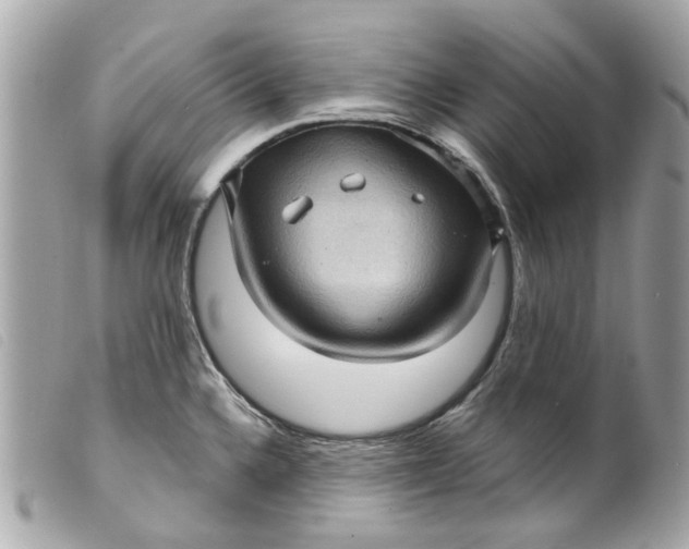 X0000099541336200805301453