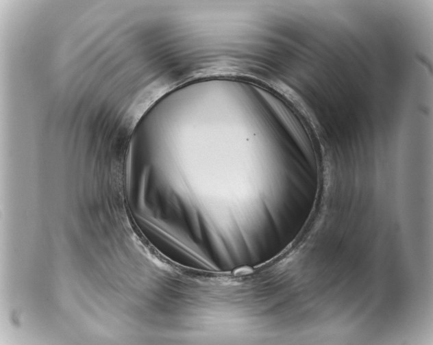 X0000099541337200805301453