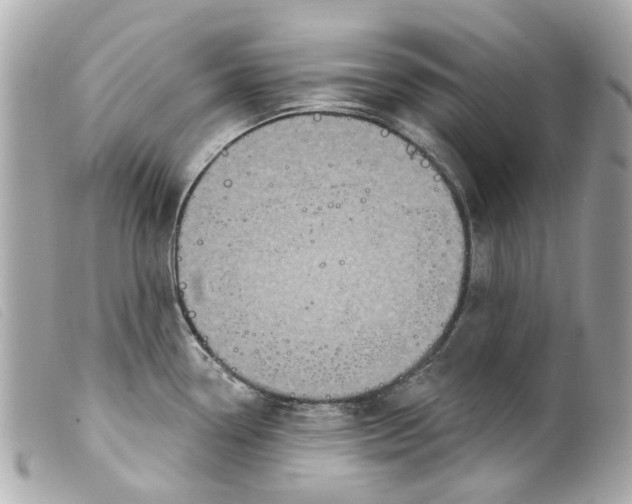 X0000099541338200805301453