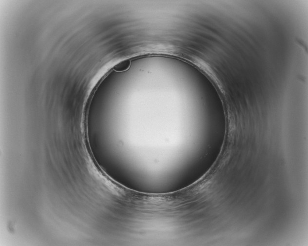 X0000099541339200805301453