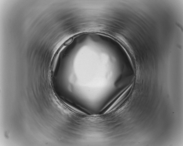 X0000099541340200805301453