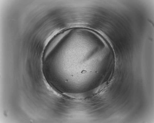 X0000099541341200805301453