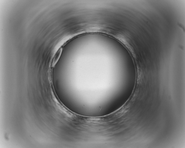 X0000099541342200805301453